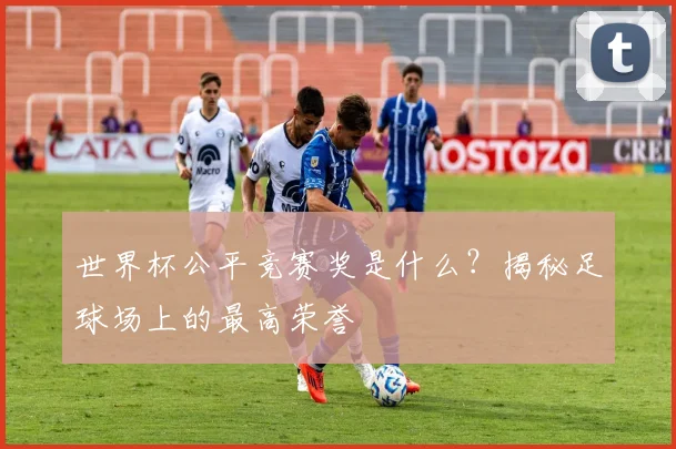 世界杯公平竞赛奖是什么？揭秘足球场上的最高荣誉
