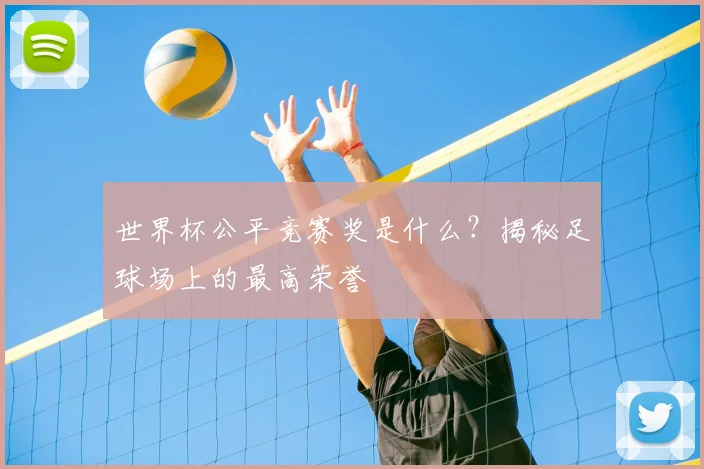 世界杯公平竞赛奖是什么?揭秘足球场上的最高荣誉